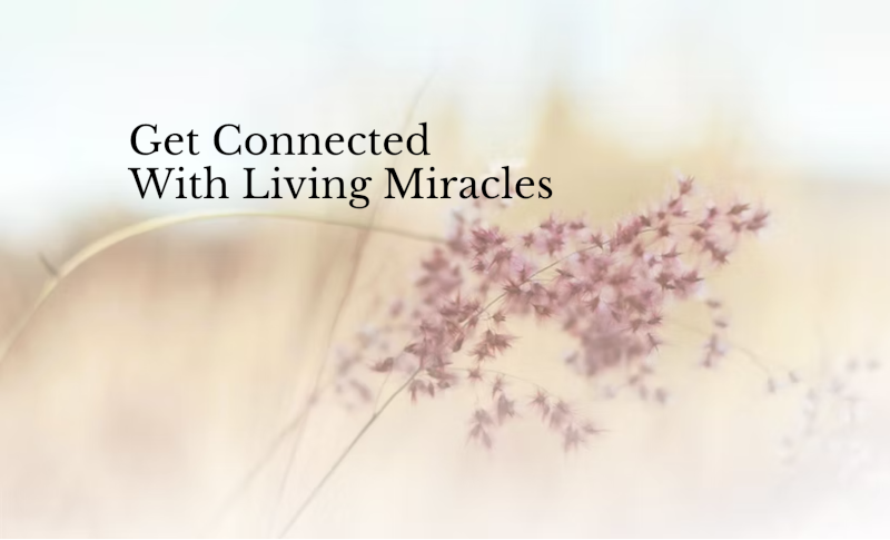 Get Connected with Living Miracles